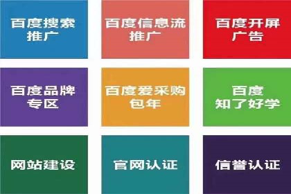 某某SEM服务公司成功案例：提升品牌曝光度